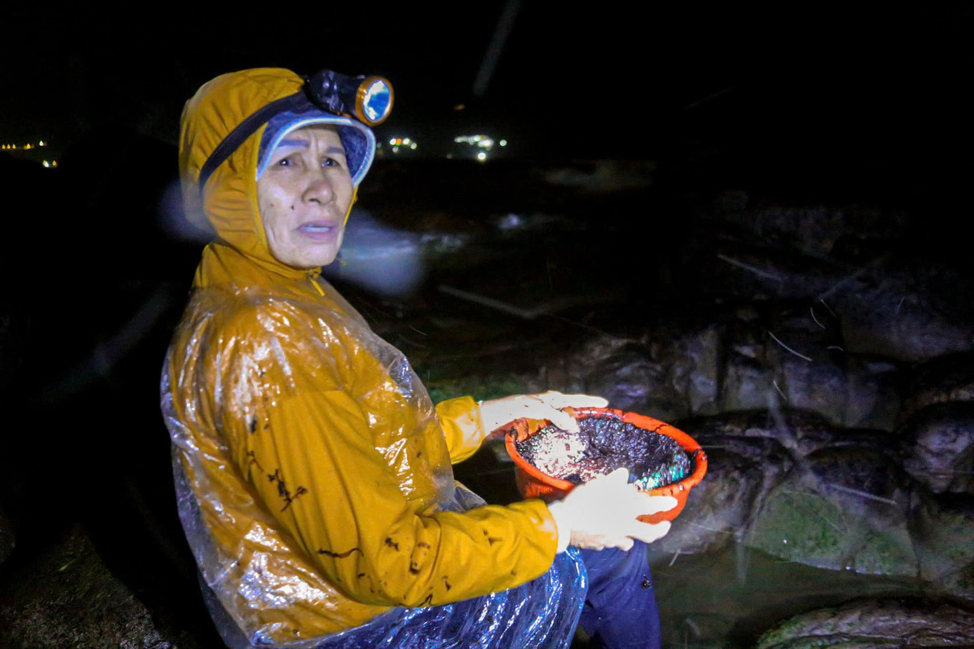 Để hái được nhiều rong mứt, người dân phải đi săn từ lúc 1 – 2h sáng. Ảnh: DQ