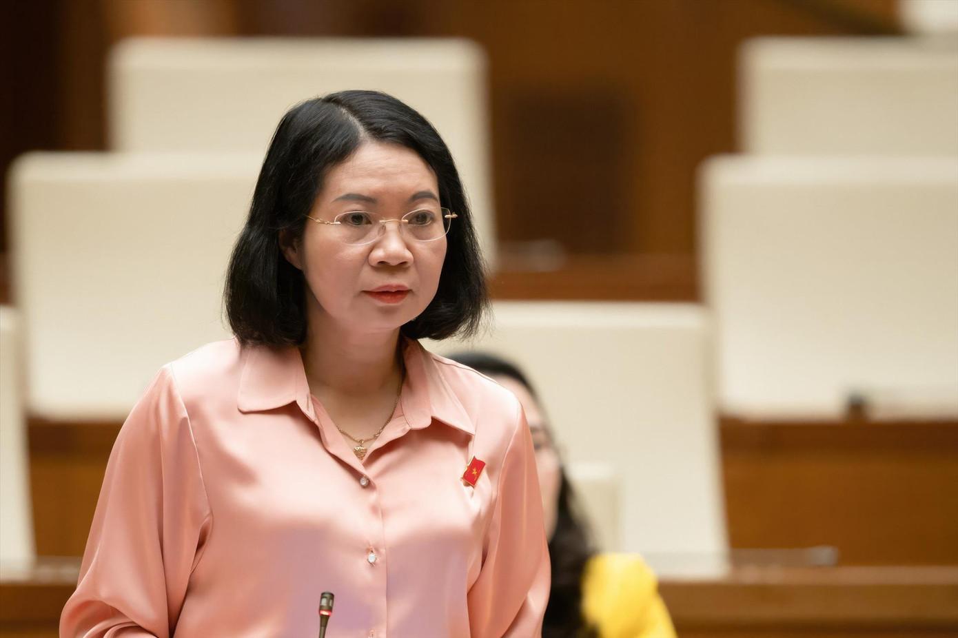 Đại biểu Mai Thị Phương Hoa (Nam Định) Đại biểu Mai Thị Phương Hoa (Nam Định)