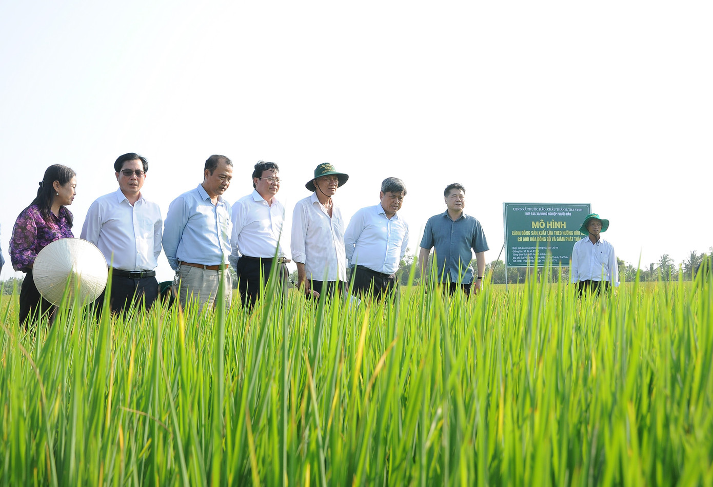 Nhiều địa phương tại ĐBSCL đã thực hiện thí điểm đề án Nhiều địa phương tại ĐBSCL đã thực hiện thí điểm đề án