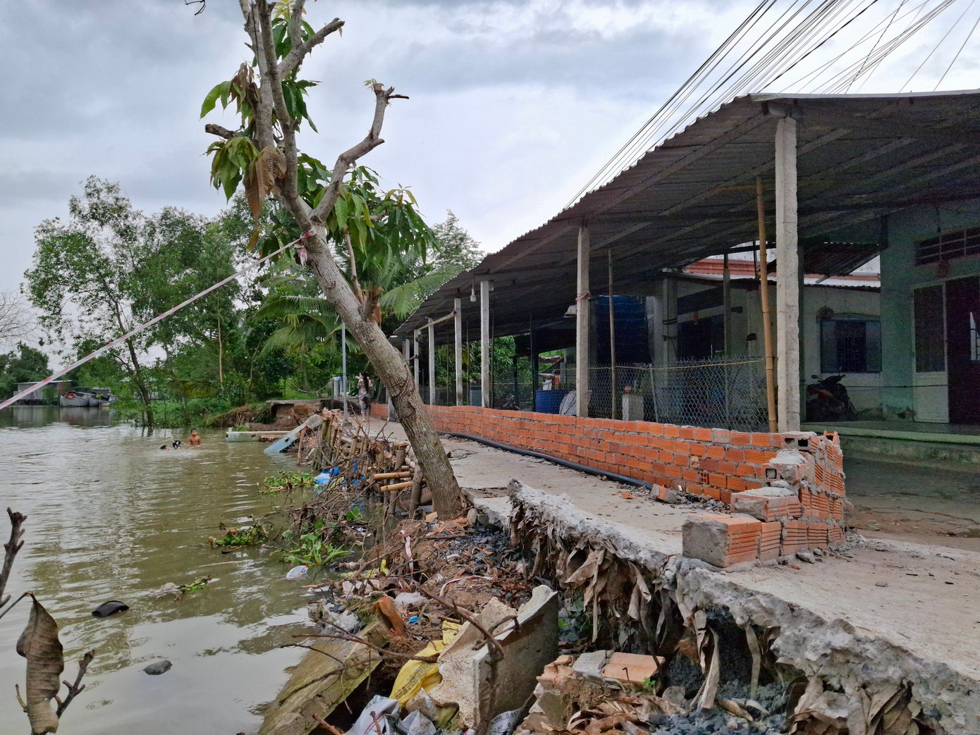 Sạt lở bờ sông tại phường Tân Phú, quận Cái Răng, TP Cần Thơ tháng 6/2024, dù chính quyền và người dân đã dùng nhiều biện pháp bảo vệ bờ bao. Ảnh: Cảnh Kỳ Sạt lở bờ sông tại phường Tân Phú, quận Cái Răng, TP Cần Thơ tháng 6/2024, dù chính quyền và người dân đã dùng nhiều biện pháp bảo vệ bờ bao. Ảnh: Cảnh Kỳ