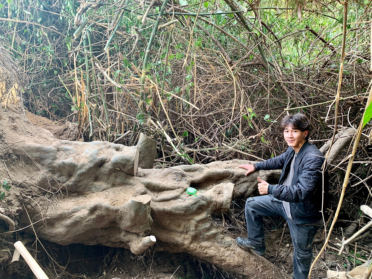 Cây khế chua cổ thụ lúc mới được phát hiện trông như tảng đá xấu xí