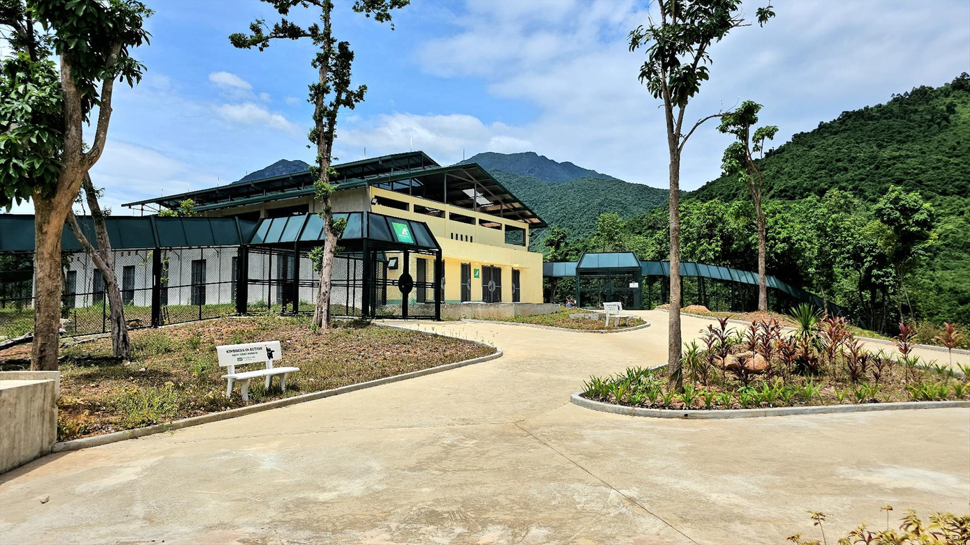 Một góc Trung tâm cứu hộ gấu Việt Nam tại Bạch Mã Một góc Trung tâm cứu hộ gấu Việt Nam tại Bạch Mã