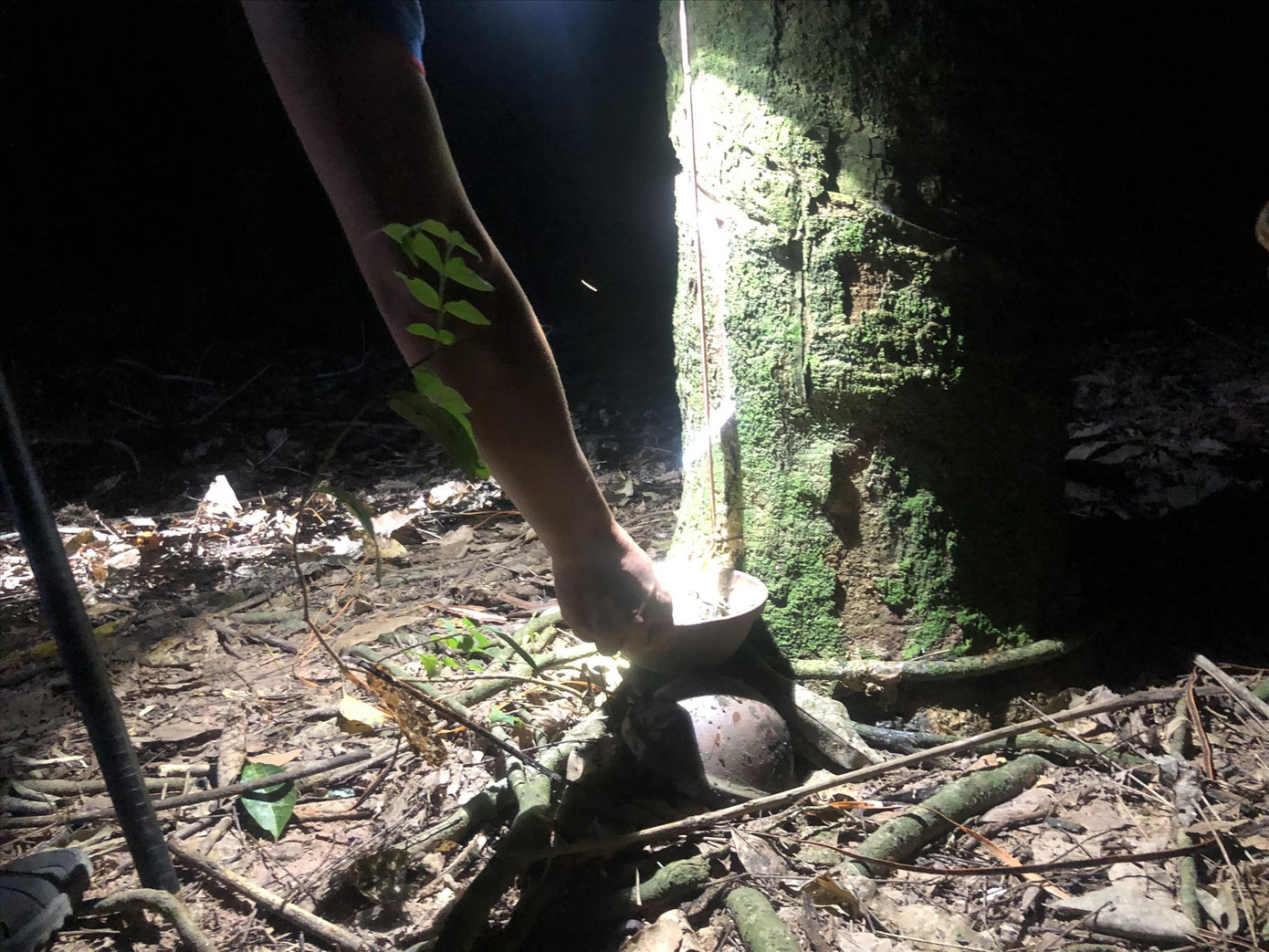 Những giọt mủ cao su thêm những giọt hy vọng Những giọt mủ cao su thêm những giọt hy vọng