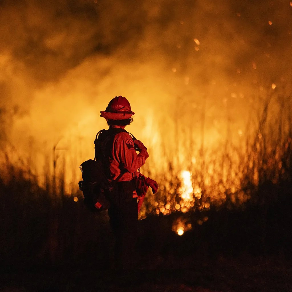 Vào tháng 1 năm nay, các vụ cháy rừng ở California đã làm ít nhất 30 người thiệt mạng