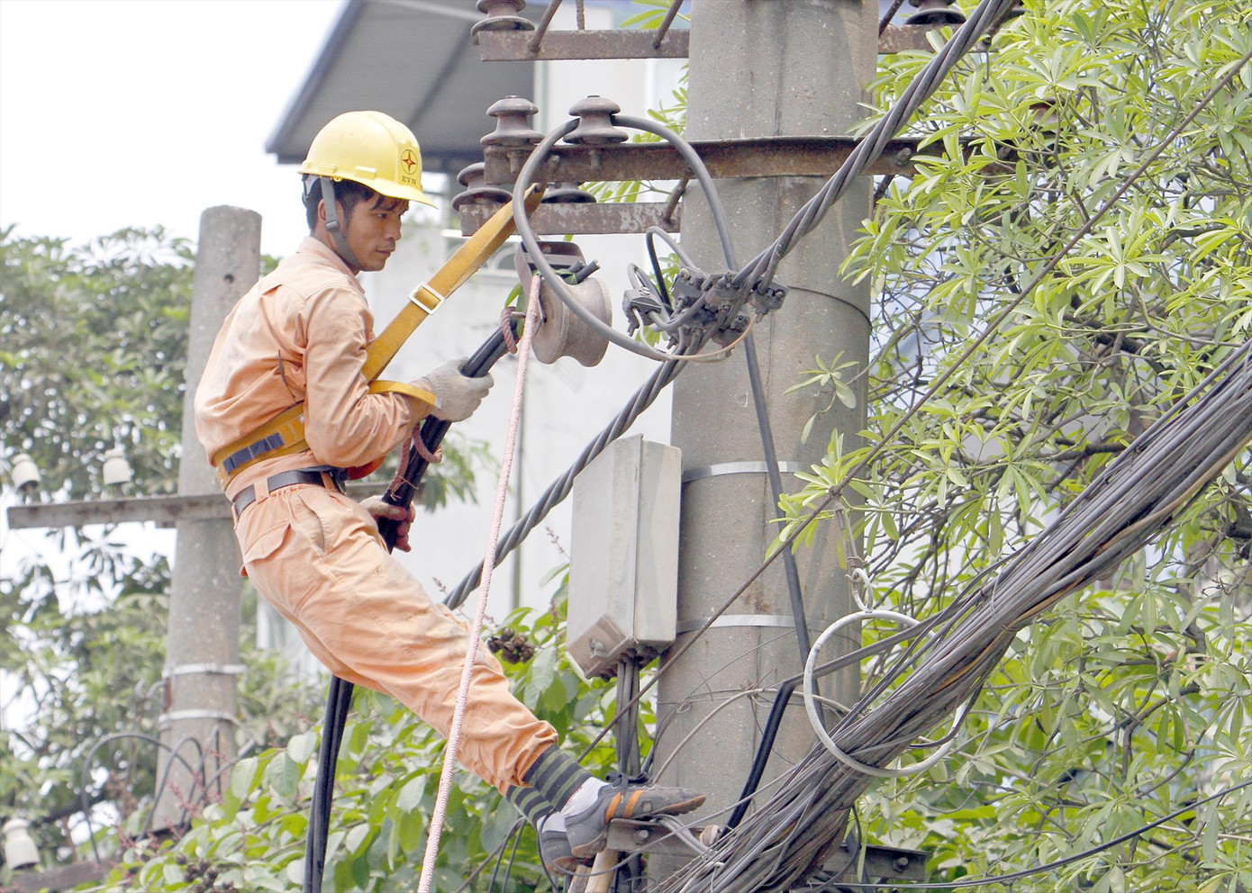 Tại EVN, có đơn vị thành viên, lương của người lao động cao hơn lương người quản lý. Ảnh minh họa: Như Ý
