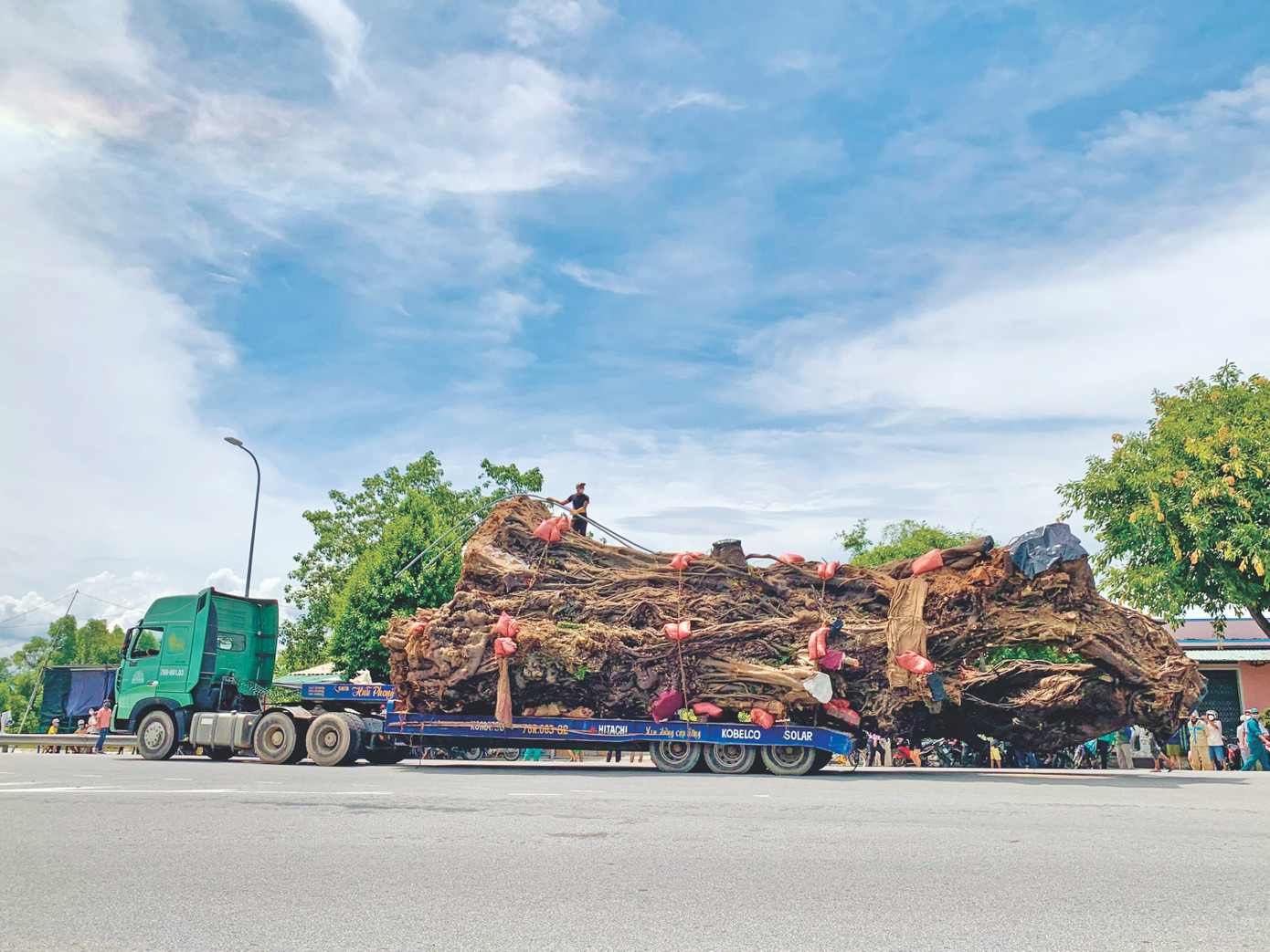 Xe siêu trường siêu trọng di chuyển "cụ" đa 200 tuổi đến nơi ở mới. Ảnh: NN