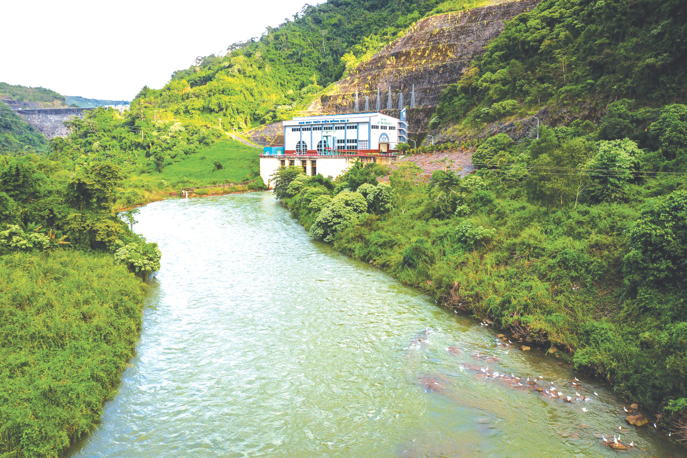 Thủy điện Đồng Nai