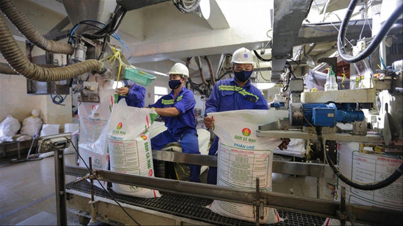 Theo nhiều doanh nghiệp, chính sách thuế về phân bón hiện không thực tế, dẫn đến giá mặt hàng này không ổn định. Ảnh: KNB Theo nhiều doanh nghiệp, chính sách thuế về phân bón hiện không thực tế, dẫn đến giá mặt hàng này không ổn định. Ảnh: KNB