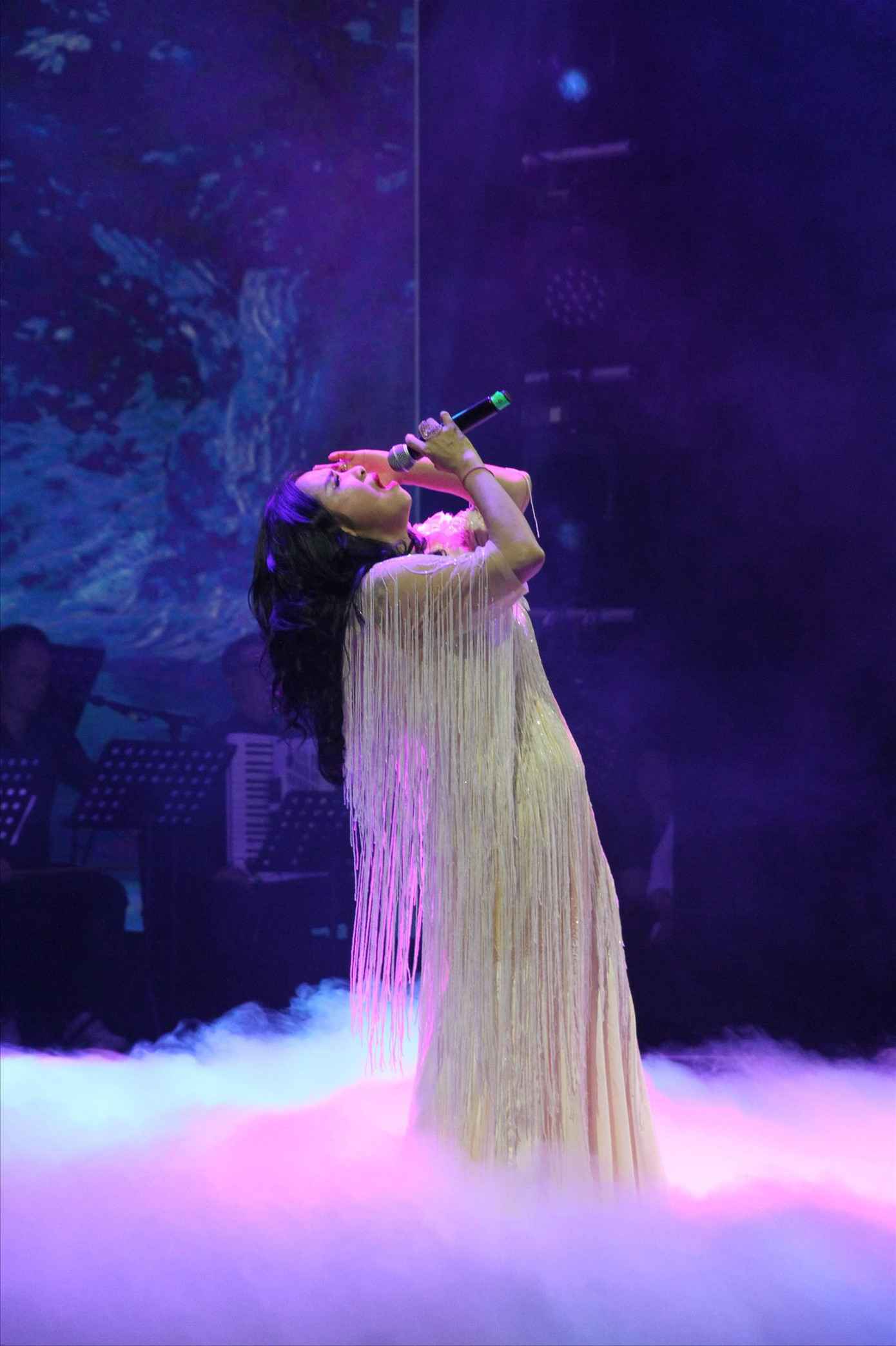 NSƯT Thanh Lam trong đêm nhạc Ðàn chim Việt kỷ niệm sinh nhật lần thứ 100 của Văn Cao. Ảnh: N.M.HÀ