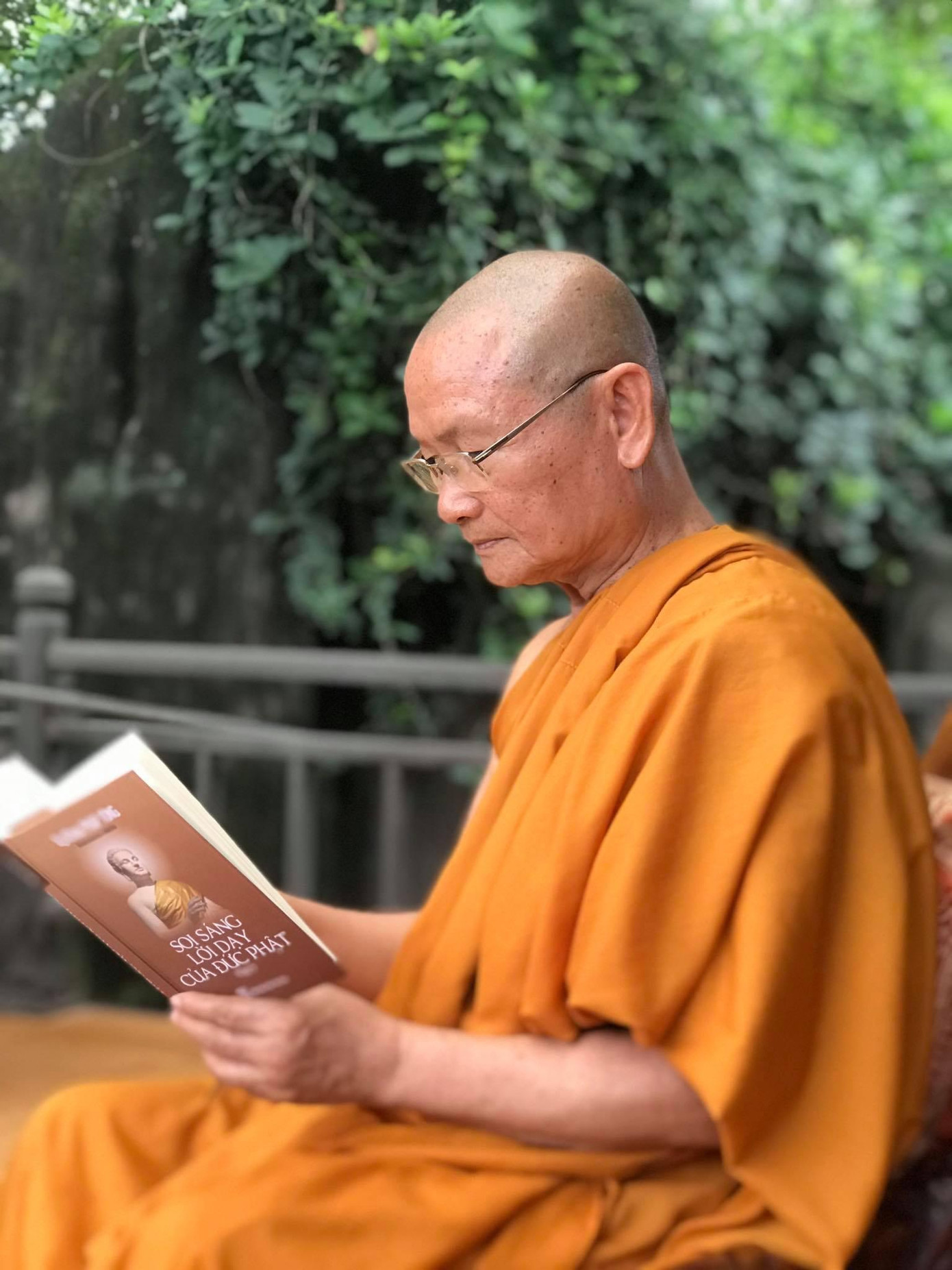 Hòa thượng Viên Minh Hòa thượng Viên Minh