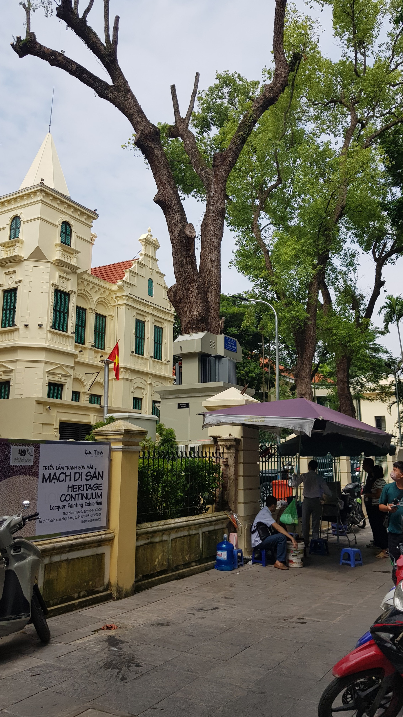 Một trong 3 cụ Khuynh diệp đang lặng lẽ tịch