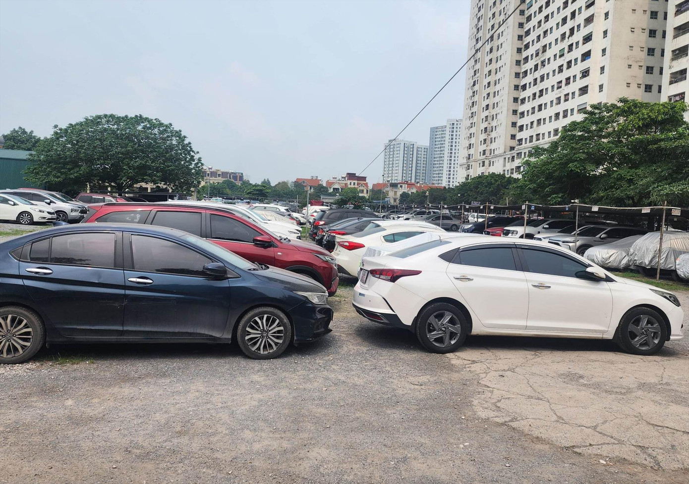 Ô tô gửi tại bãi chưa được cấp phép ở Linh Đàm Ô tô gửi tại bãi chưa được cấp phép ở Linh Đàm