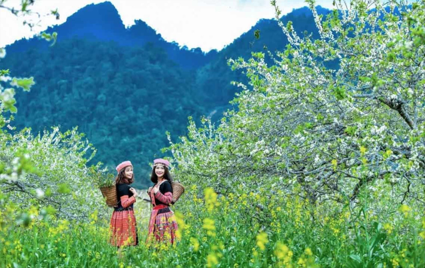 Mùa hoa Tây Bắc trở thành lựa chọn hàng đầu cho những chuyến phượt ngắn ngày của nhiều gia đình.
