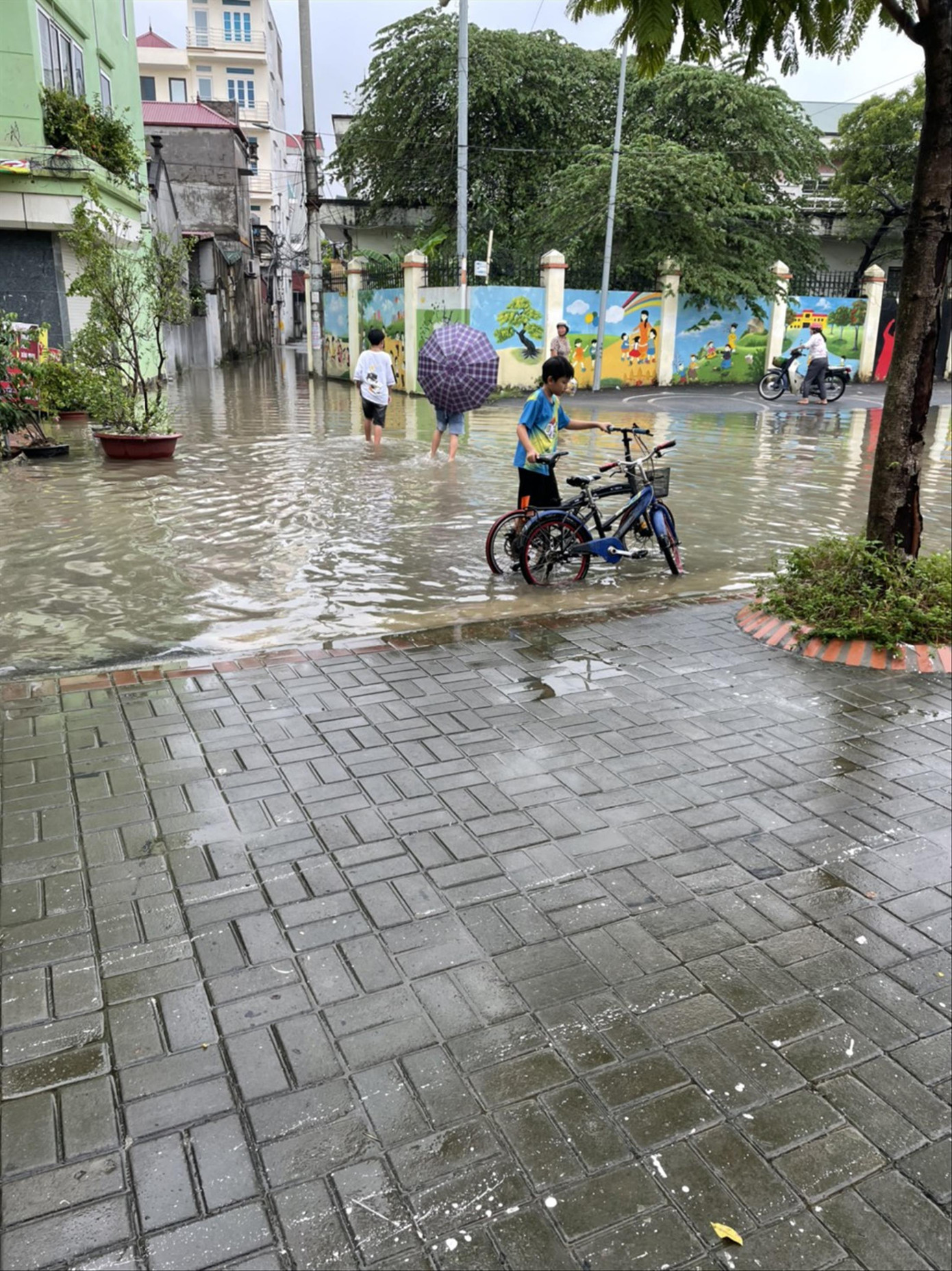 Tình trạng cứ mưa là ngập kéo dài nhiều năm qua tại Dự án Westpoint