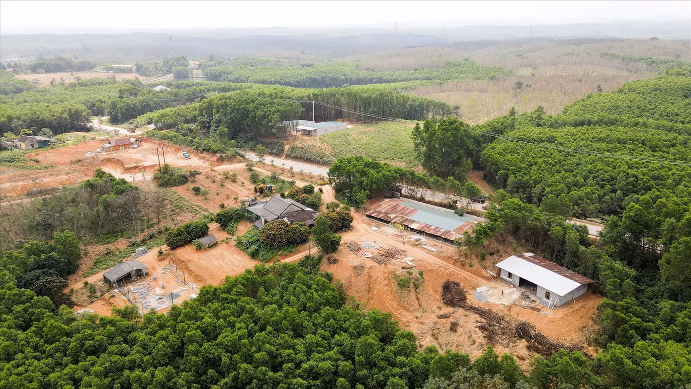 Nhiều hộ dân ở xã Vĩnh Hà, huyện Vĩnh Linh (Quảng Trị) xây dựng nhà trái phép bên cạnh đường Hồ Chí Minh nhằm để chờ bồi thường