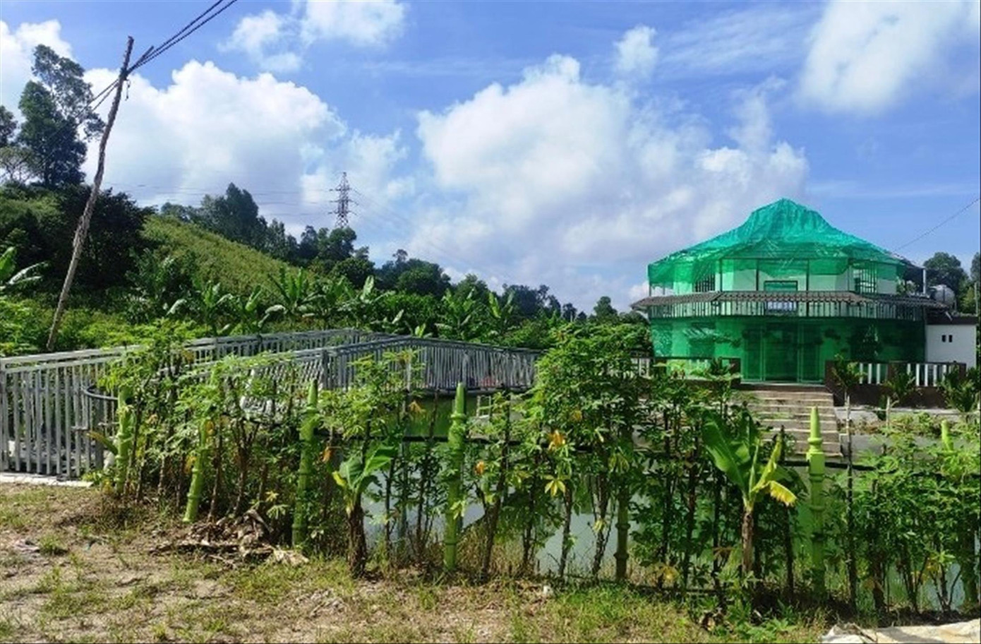 Nhà xây trên đất nông nghiệp tại phường Bắc Sơn, thị xã Bỉm Sơn, tỉnh Thanh Hóa