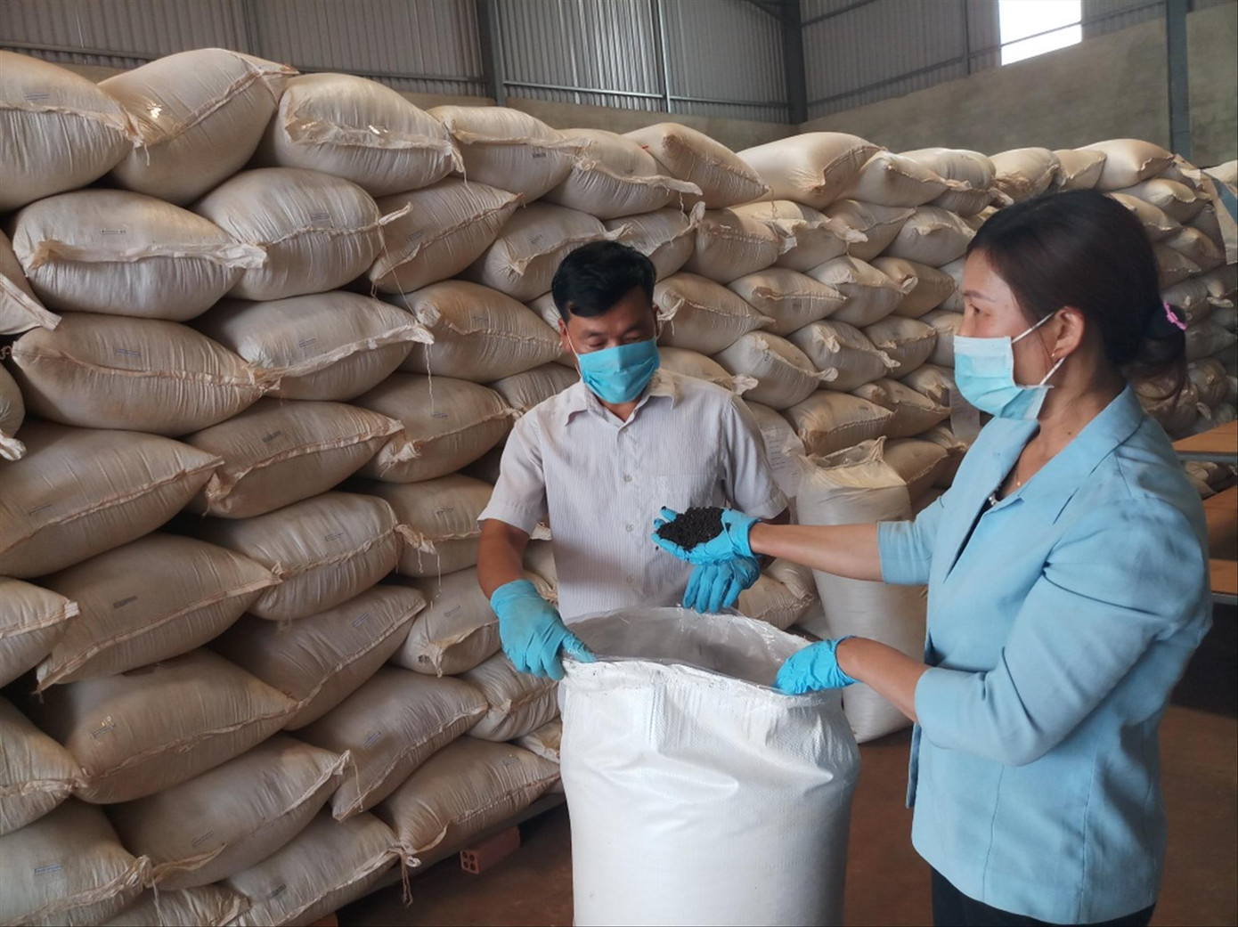 Theo các doanh nghiệp, giá tiêu đang biến động thất thường Theo các doanh nghiệp, giá tiêu đang biến động thất thường