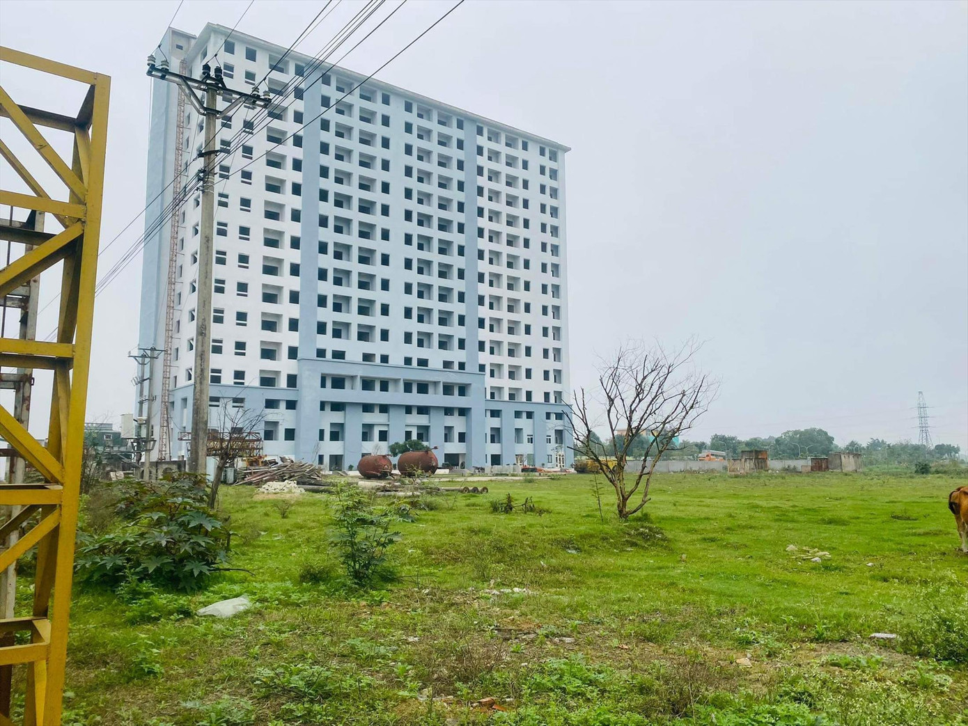 Dự án nhà ở xã hội ở Quảng Thành (TP Thanh Hóa) bỏ không nhiều năm.