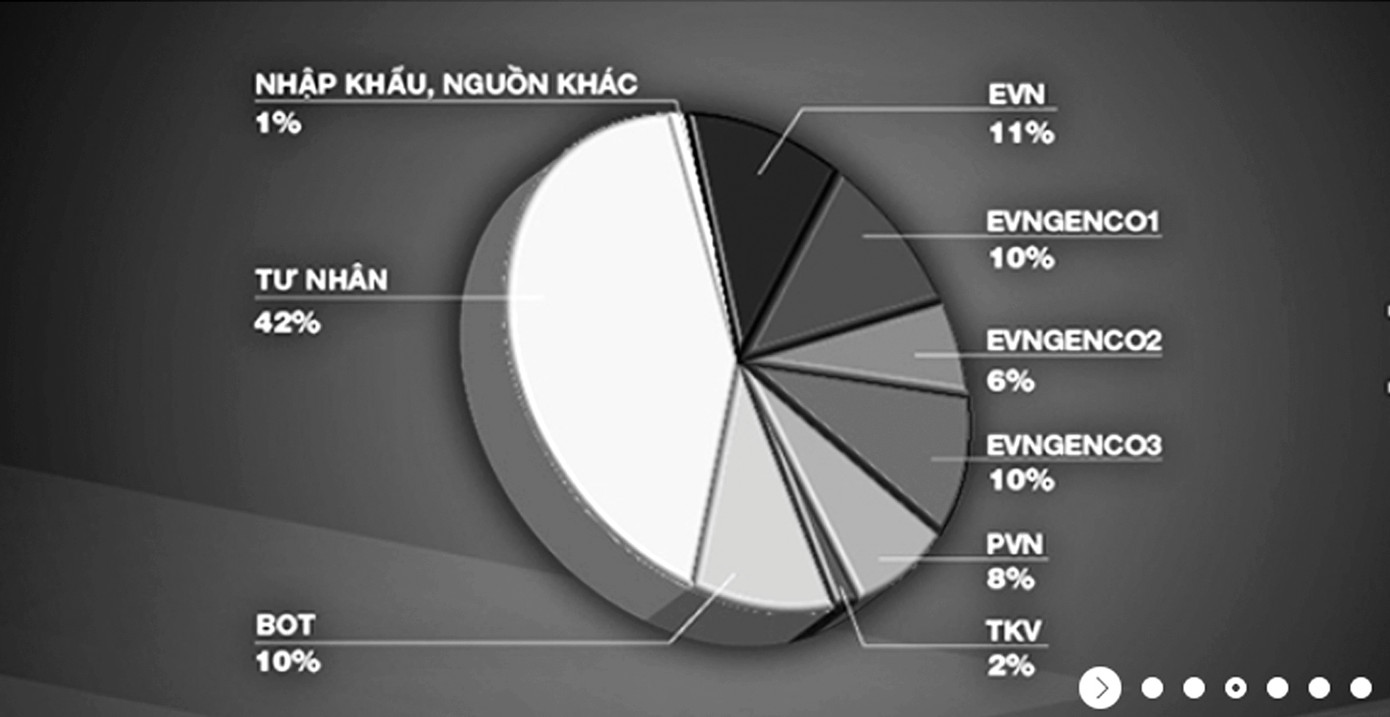 Cơ cấu nguồn điện chia theo chủ sở hữu (nguồn EVN)