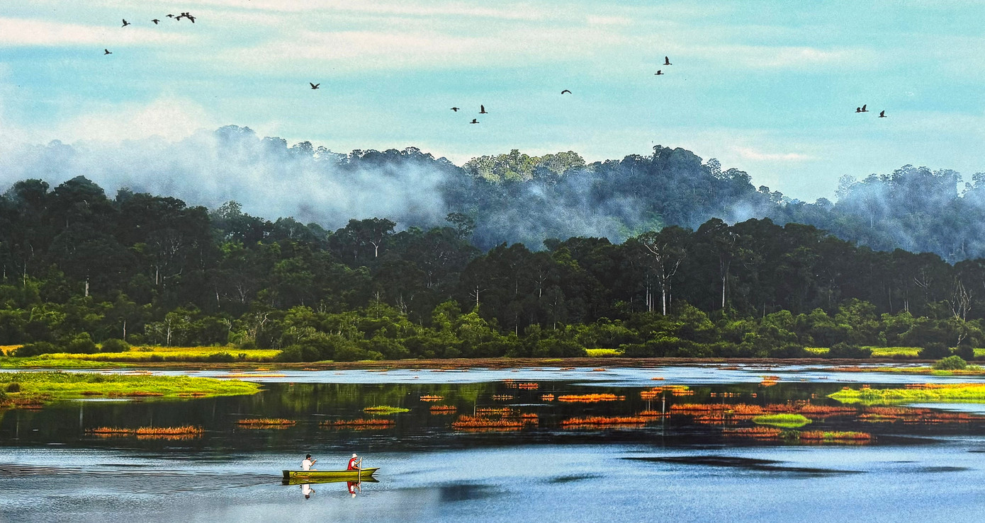 Bàu Sấu. Ảnh: Quốc Việt Bàu Sấu. Ảnh: Quốc Việt