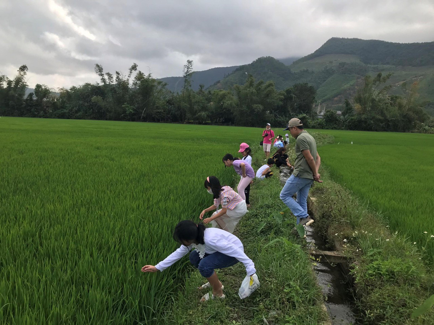 Những bài học thú vị từ thiên nhiên. Ảnh: Lan Anh