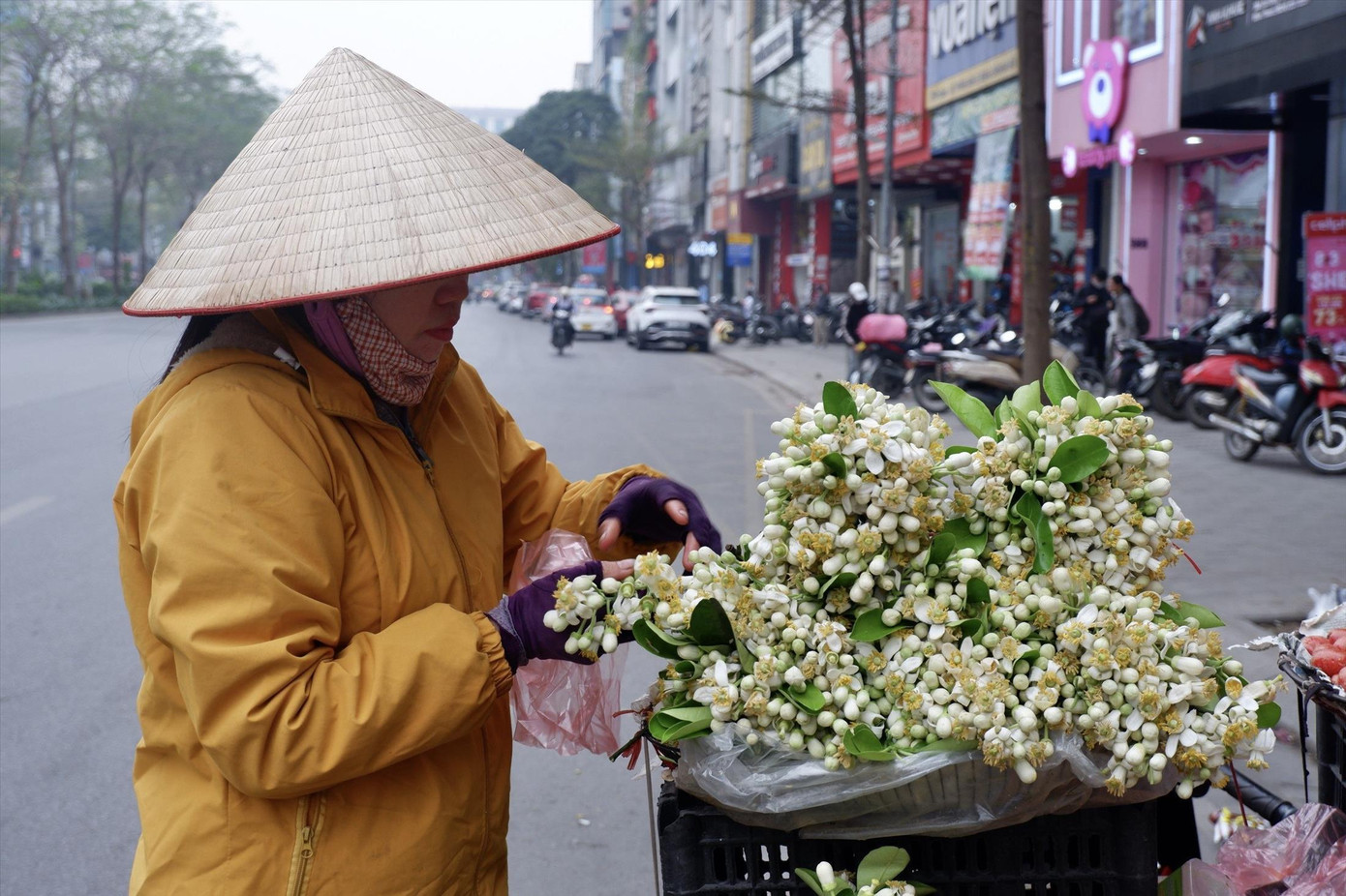 Gánh hoa bưởi rong của chị Trần Thị Linh Gánh hoa bưởi rong của chị Trần Thị Linh