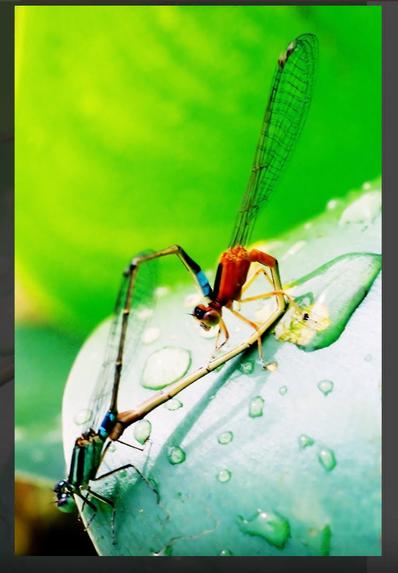 Tác phẩm “Yêu” của MPK