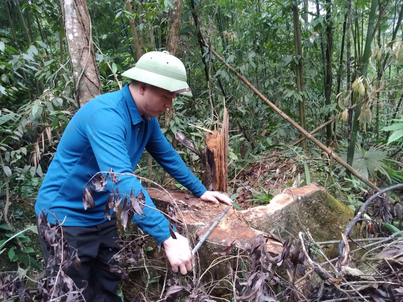 Công an khám nghiệm hiện trường vụ khai thác trái phép rừng đặc dụng Tây Yên Tử ở xã Thanh Luận (huyện Sơn Động). Ảnh: Nguyễn Thắng