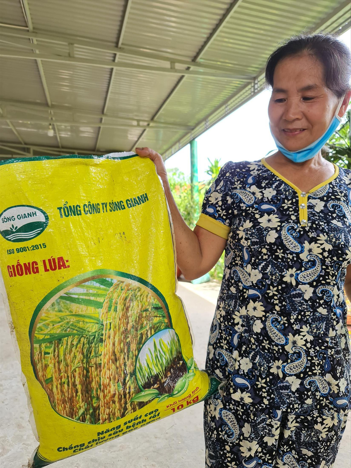 Bao bì lúa giống của Tổng Cty Sông Gianh