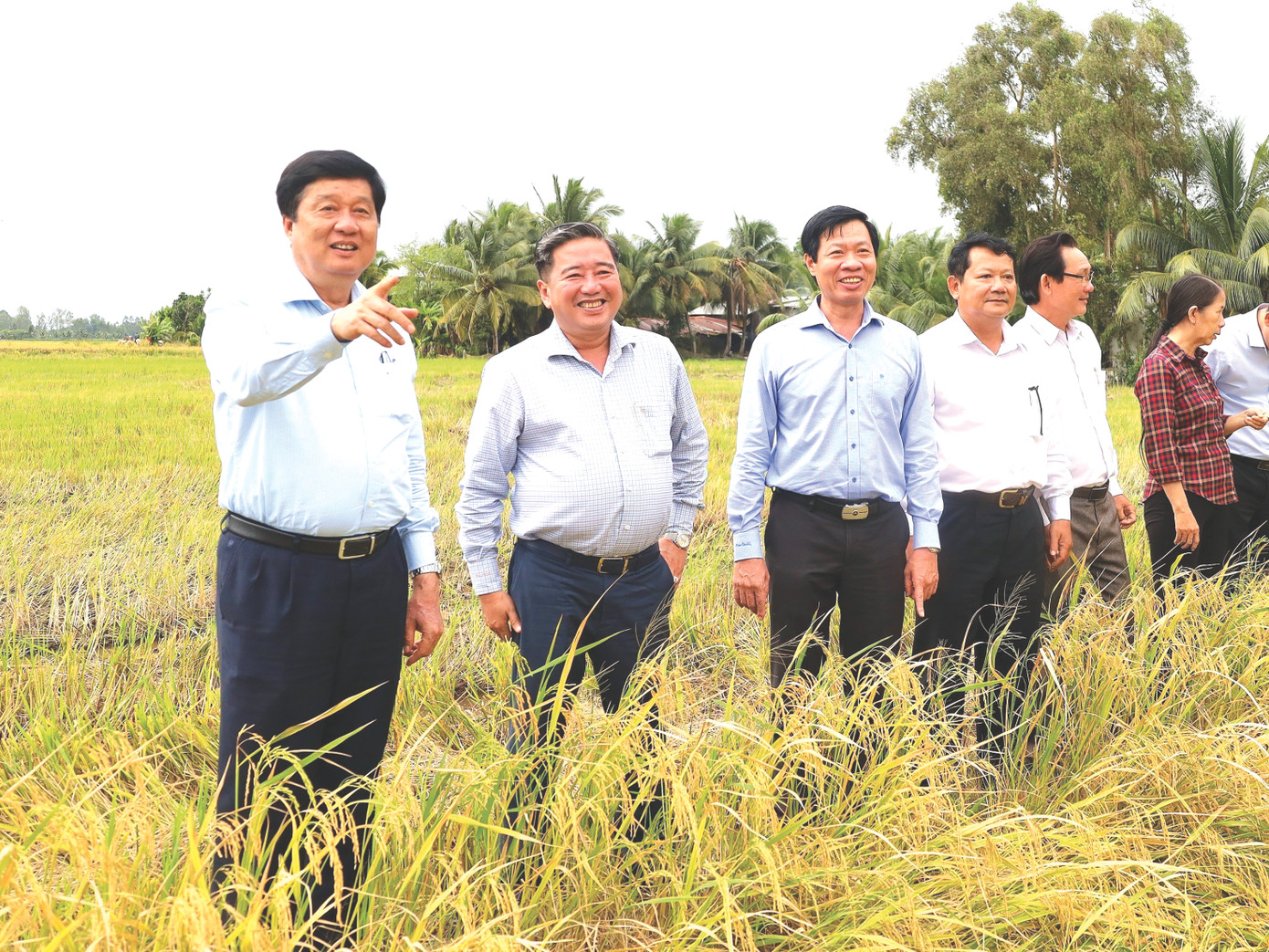 Ông Phạm Văn Hiểu (bìa trái) kiểm tra, khảo sát tình hình sản xuất nông nghiệp trên địa bàn TP Cần Thơ Ông Phạm Văn Hiểu (bìa trái) kiểm tra, khảo sát tình hình sản xuất nông nghiệp trên địa bàn TP Cần Thơ