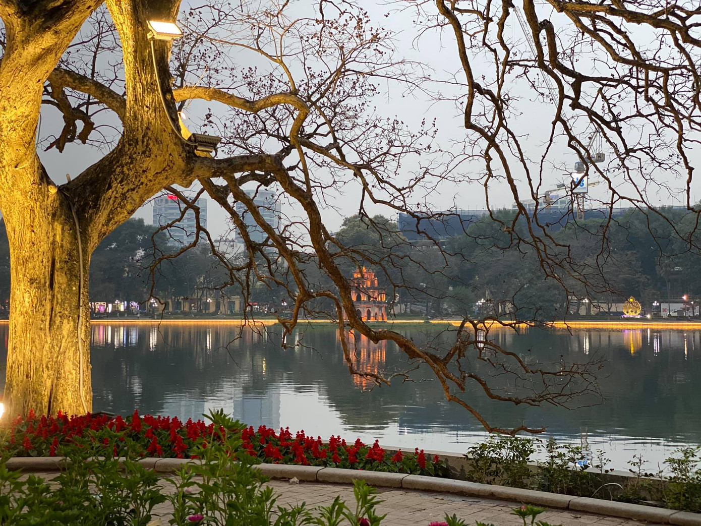 Theo phương án thiết kế cải tạo, nâng cấp vườn hoa Lý Thái Tổ sẽ phải chặt hạ và dịch chuyển 25 cây xanh, do các cây xanh này nằm trên đường dạo và trên hệ thống nhạc nước của dự án. Ảnh: Long Vân