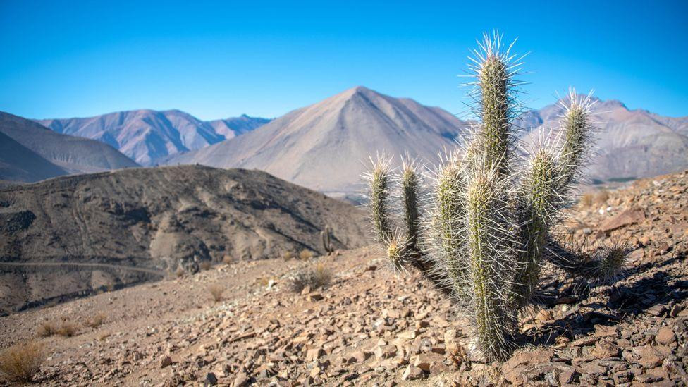 Một góc sa mạc Atacama của Chile, nơi khô hạn nhất thế giới Một góc sa mạc Atacama của Chile, nơi khô hạn nhất thế giới