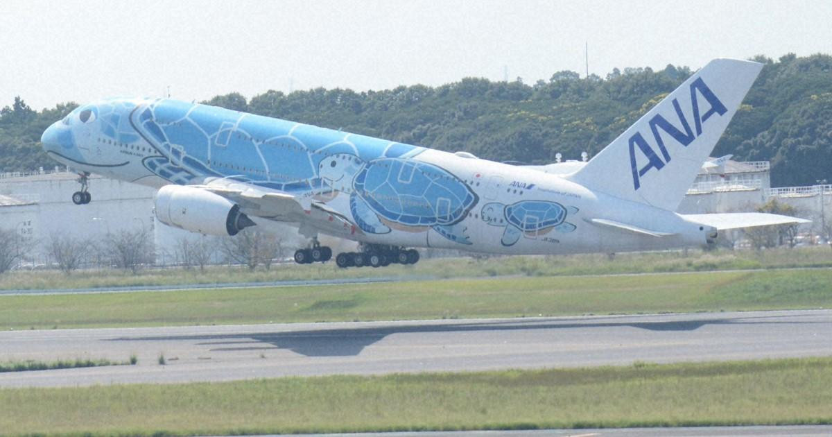 Chiếc máy bay Airbus A380 có vẽ hình rùa biển