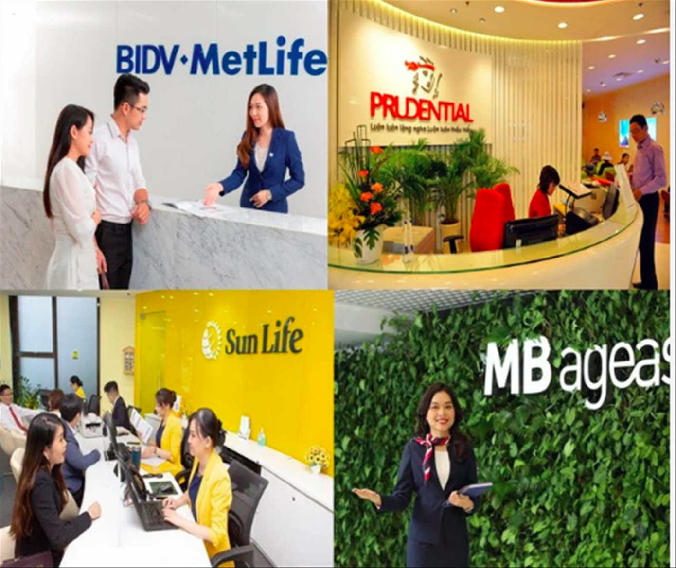 Bốn doanh nghiệp bảo hiểm nhân thọ được Bộ Tài chính chỉ ra sai phạm sau khi thanh tra.