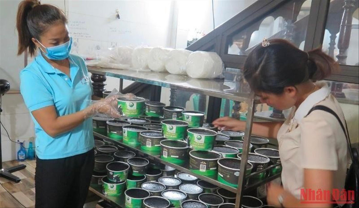 Sản phẩm thạch đen thành phẩm chuẩn bị đưa đi tiêu thụ. Ảnh: Duy Chiến
