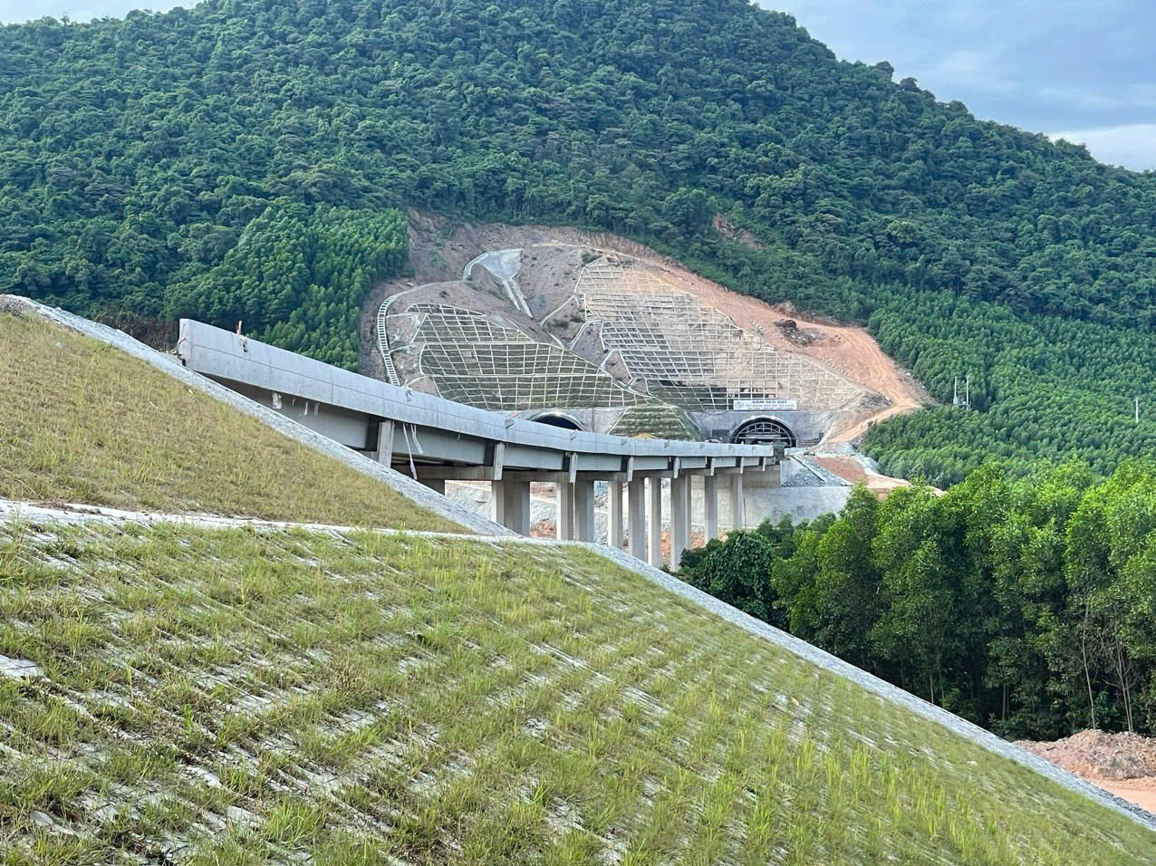 Do tiến độ thi công nhanh, nhiều đoạn dự án Bùng - Vạn Ninh đã trồng cỏ hoàn thiện cả mái đường Do tiến độ thi công nhanh, nhiều đoạn dự án Bùng - Vạn Ninh đã trồng cỏ hoàn thiện cả mái đường