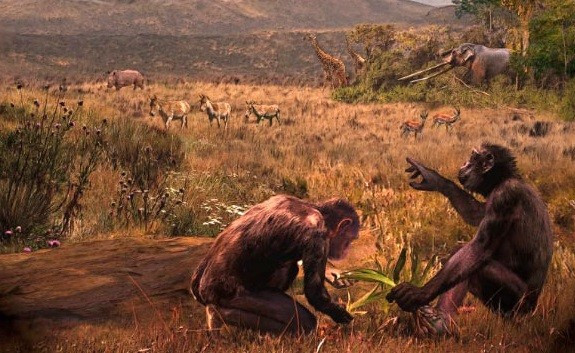 Linh trưởng “tiền con người” Graecopithecus freybergi sống cách đây 7,2 triệu năm trên thảo nguyên của lưu vực Athens. Tranh minh họa: Velizar Simeonovski