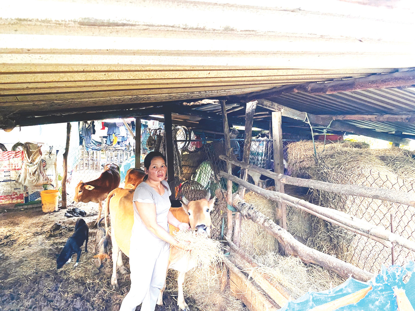 Cuộc sống mới của gia đình chị H Wôn Byă