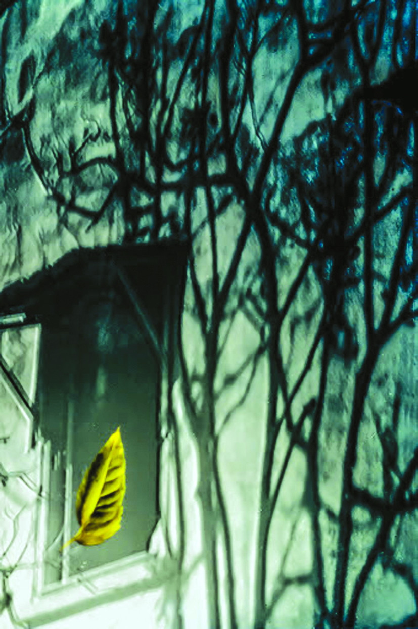 Tác phẩm nghệ thuật “Chiếc lá” của MPK