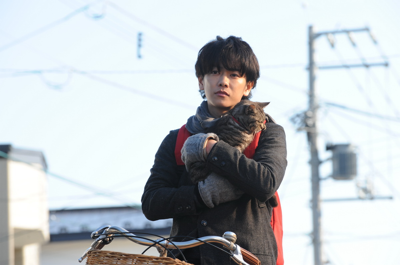 Hình ảnh trong phim Thế gian này nếu không còn mèo được chuyển thể từ tiểu thuyết cùng tên.