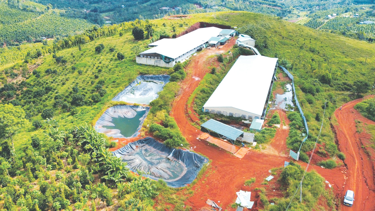 Kiểm tra, chấn chỉnh trang trại chăn nuôi lợn trên địa bàn tỉnh Đắk Nông để bảo vệ môi trường Kiểm tra, chấn chỉnh trang trại chăn nuôi lợn trên địa bàn tỉnh Đắk Nông để bảo vệ môi trường