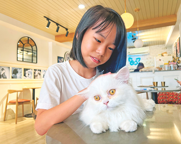 Đong đầy yêu thương với những người bạn mới Đong đầy yêu thương với những người bạn mới