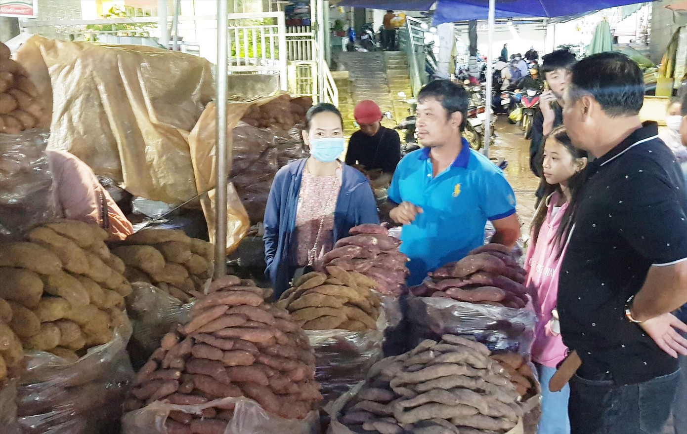 Khách hàng kiểm tra nguồn gốc khoai lang bán tại chợ Đà Lạt. Ảnh: Vân Sơn Khách hàng kiểm tra nguồn gốc khoai lang bán tại chợ Đà Lạt. Ảnh: Vân Sơn