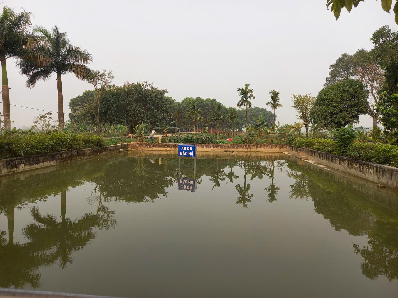 Một góc làng Thượng Đại.