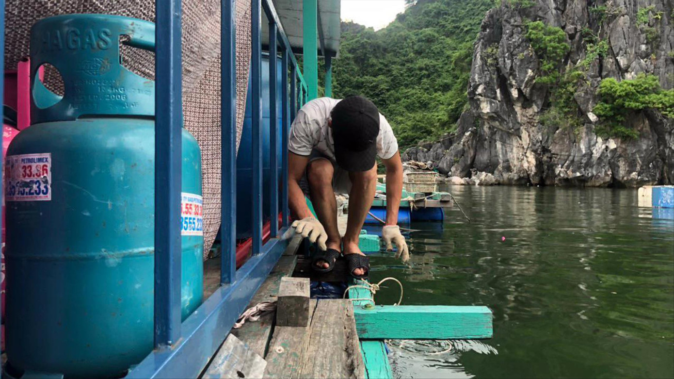 Ngư dân gia cố lồng bè nuôi trồng thủy hải sản Ngư dân gia cố lồng bè nuôi trồng thủy hải sản