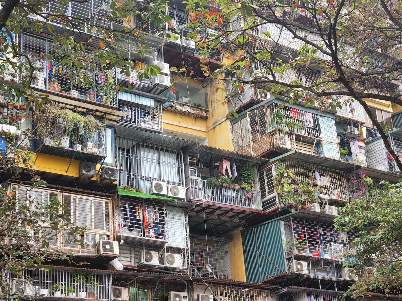 Các khu tập thể cũ tăng giá vì nhu cầu nhà ở lớn. Ảnh: Như Ý Các khu tập thể cũ tăng giá vì nhu cầu nhà ở lớn. Ảnh: Như Ý