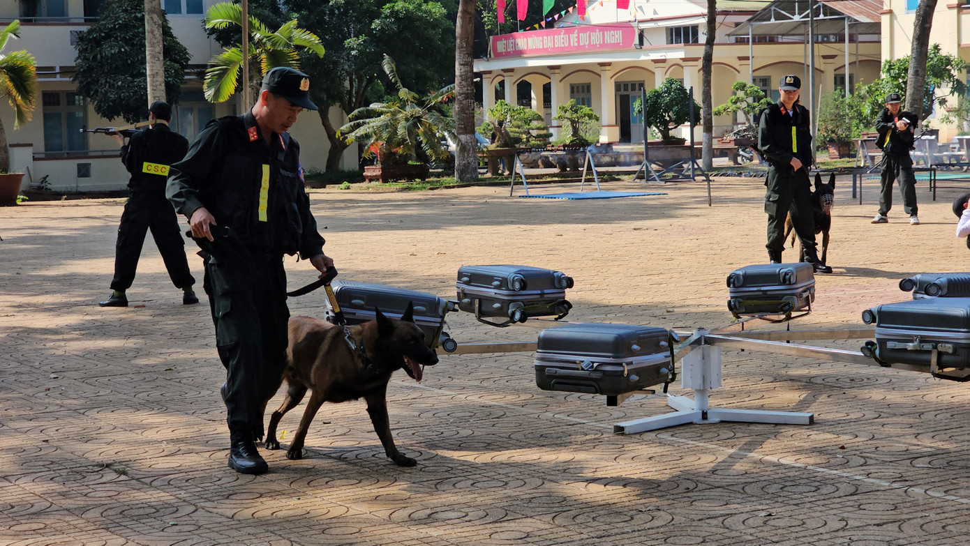 Khuyển binh tham gia đợt tập huấn Khuyển binh tham gia đợt tập huấn