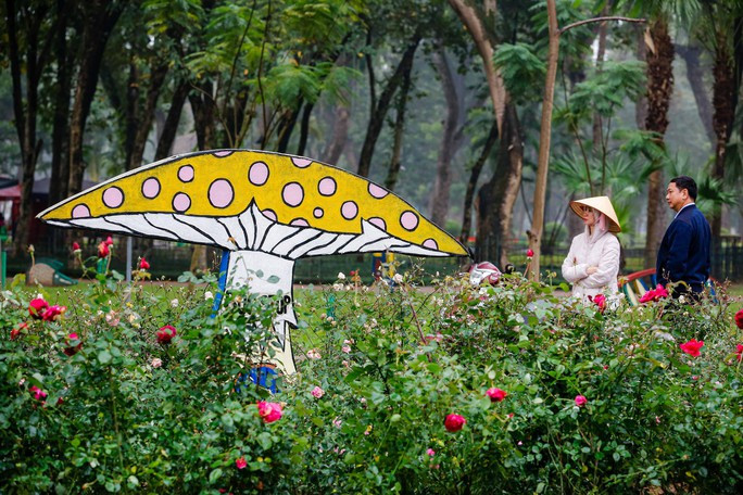 Công viên Thống Nhất đổi thay sau khi được dỡ bỏ hàng rào Công viên Thống Nhất đổi thay sau khi được dỡ bỏ hàng rào