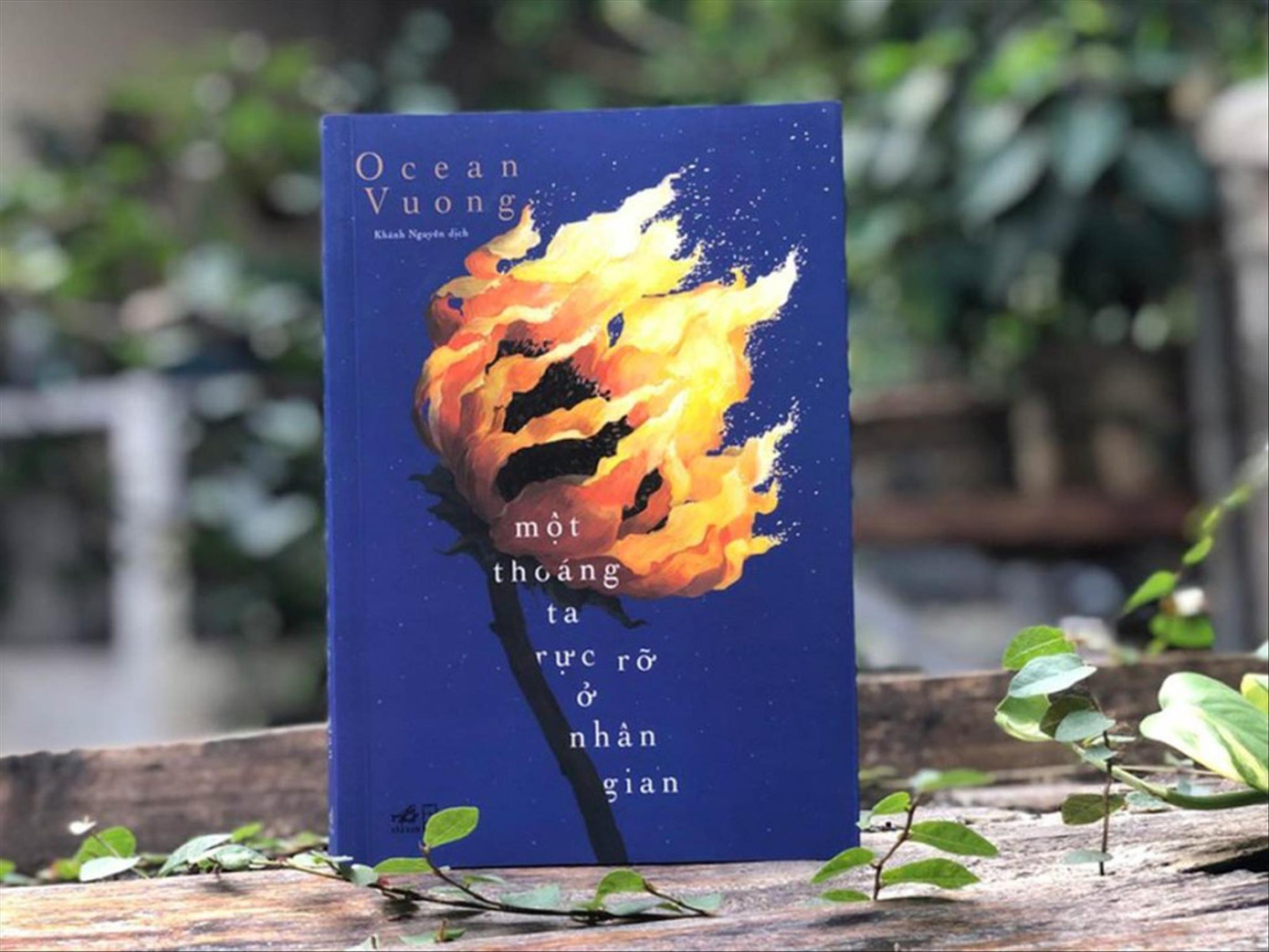 Một thoáng ta rực rỡ ở nhân gian gây nhiều tranh cãi vì có chi tiết quan hệ tình dục đồng giới