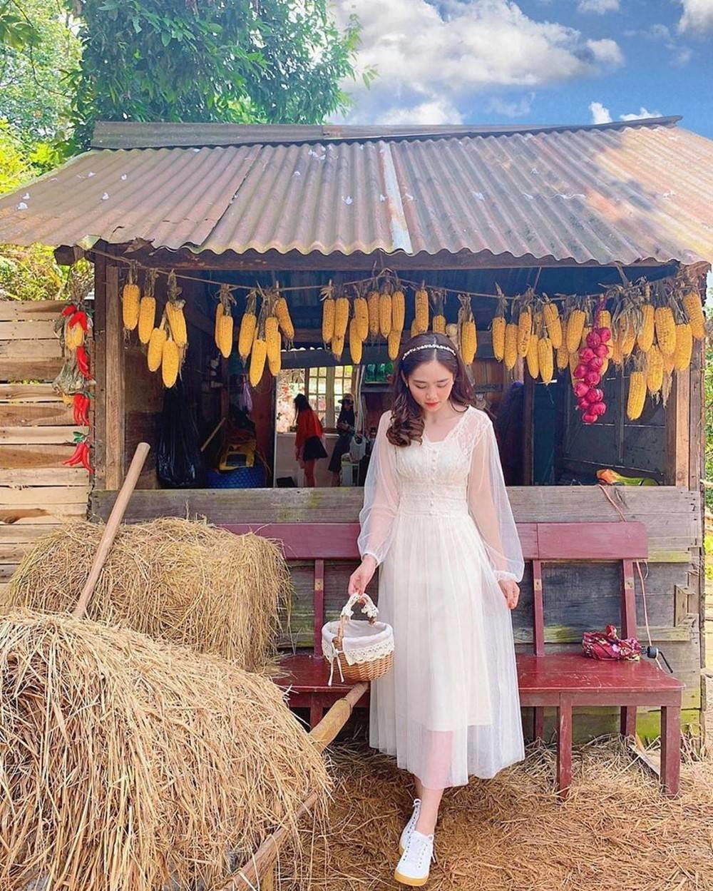 Họ cũng thích thú với những khung cảnh thuần Việt thế này Họ cũng thích thú với những khung cảnh thuần Việt thế này